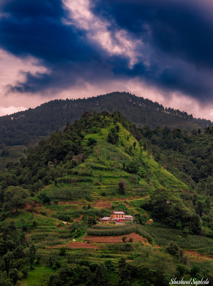 Terraced Hills